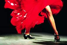 Flamenco shows with city tours and tapas tours