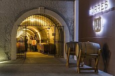 Wine cellar Torres in Penedés 