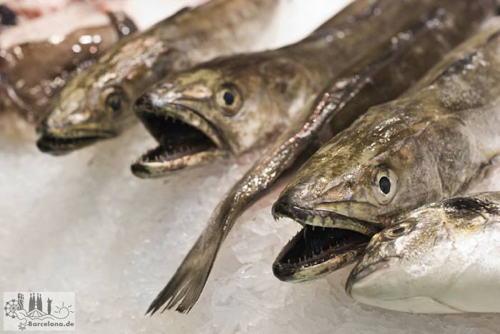 Frischen Fisch