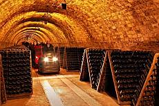 Codorníu: Winery Guided Visit + Gaudí's Crypt