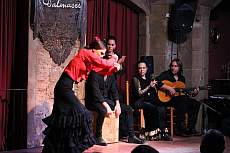 Halbtageswanderung mit Tapas- und Flamenco-Show