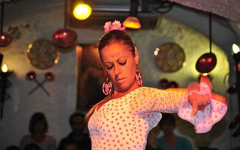 Ausdrucksstarker Flamenco, Stadtführung oder Tapas-Dinner