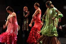 Flamenco at El Patio Andaluz with optional dinner