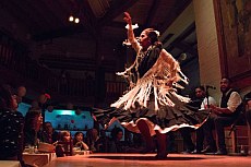 Flamenco-Show mit Abendessen im Tablao de Carmen