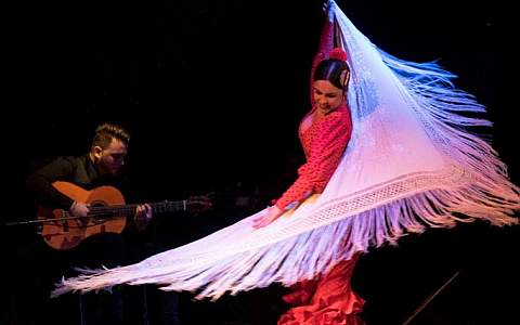 Flamenco-Shows in Barcelona