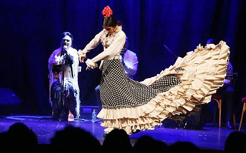 Flamenco-Shows in Barcelona