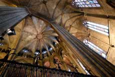The gothic cathedral  in the Old Town in pictures