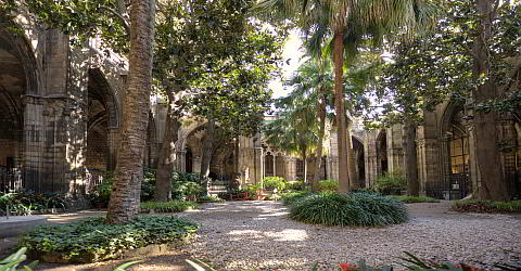 Cloister of the cathedral