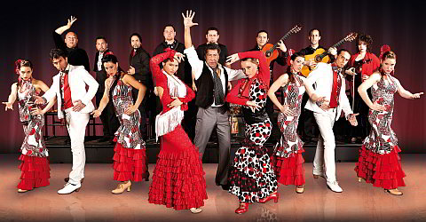 Stage show with 17 artists in the Palacio del Flamenco